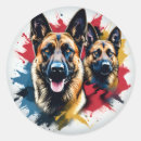 Suche nach malinois aufkleber Hund