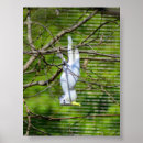 Suche nach hänge poster Tiere