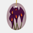 Suche nach calla lilies ornamente Blume