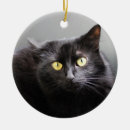 Suche nach schwarze miezekatze ornamente Niedlich