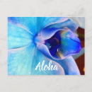 Suche nach orchid postkarten Hawaii