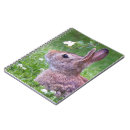 Suche nach niedliches kaninchen kleine notizbücher Jede person