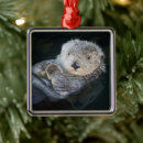 Suche nach otter ornamente Tierwelt