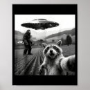 Suche nach lustiger waschbär poster Fotografie