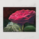 Suche nach rose auf schwarzem postkarten Jede person