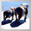 Suche nach englische poster Tiere