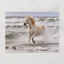 Suche nach brandung postkarten Strand