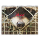 Suche nach waschbär kalender Jede person