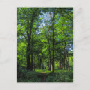 Suche nach waldweg postkarten Waldland