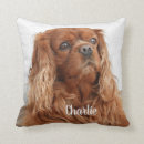 Suche nach cavalier king charles spaniel kissen Niedlich