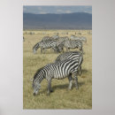 Suche nach tanzania poster Africa