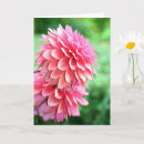 Suche nach dahlia karten Blätter