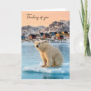 Suche nach eisbär karten Arktisch