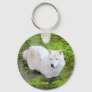 Suche nach pond accessoires Animal
