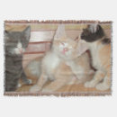 Suche nach meow decken Kätzchen