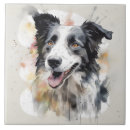 Suche nach collie fliesen Grenzkollie