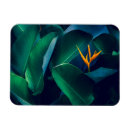 Suche nach paradiesvogel magnete Orange