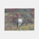 Suche nach falke decken Für alle