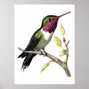 Suche nach anna poster Kolibri
