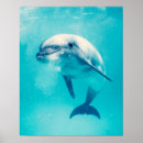 Suche nach niedlicher delphin poster Ozean