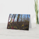 Suche nach schreiner karten Natur