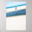 Suche nach kitesurfen poster Sport