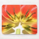 Suche nach rote tulpe mousepads Bunt