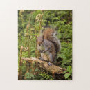 Suche nach nagetier puzzle Wildtiere