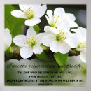 Suche nach auferstehung poster Bibel