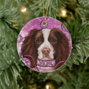 Suche nach englischer springer spaniel ornamente Weihnachten