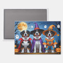 Suche nach swiss magnete Hund