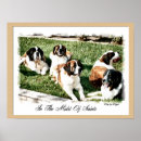 Suche nach saint bernard poster Haustiere