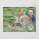 Suche nach mandarine postkarten Für alle