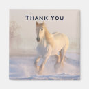 Suche nach pferde magnete Reiter