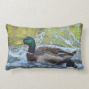 Suche nach wasservögel kissen Enten
