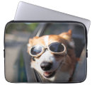 Suche nach corgie laptop schutzhüllen Haustier