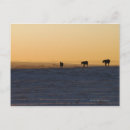 Suche nach abwesenheit postkarten Im freien