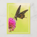 Suche nach färben sie ihr leben postkarten Natur