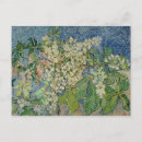 Suche nach vincent van gogh postkarten Post impressionist