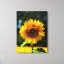 Suche nach tapeten leinwandbilder Blume