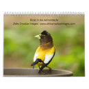 Suche nach specht kalender Vögel