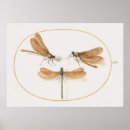 Suche nach dragonfly poster Schmetterling