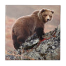 Suche nach braunbär fliesen Natur