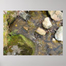 Suche nach strom poster Natur