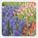 Suche nach keukenhof aufkleber Niederlande