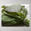 Suche nach grüntöne poster Blatt