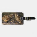 Suche nach esel gepäckanhänger Natur