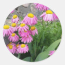 Suche nach blumenbild aufkleber Naturfotografie