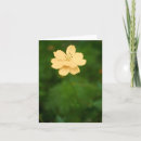 Suche nach harmonie karten Blume