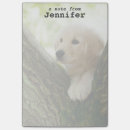 Suche nach junges tier post it Tiere